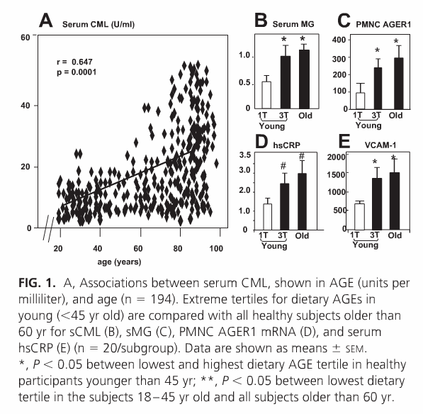 dietary-age-inflammation-vlassara-et-al