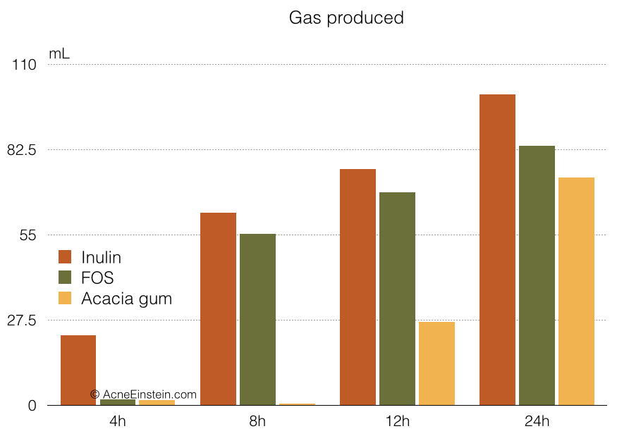 intestinal-gas-fiber-fermentation